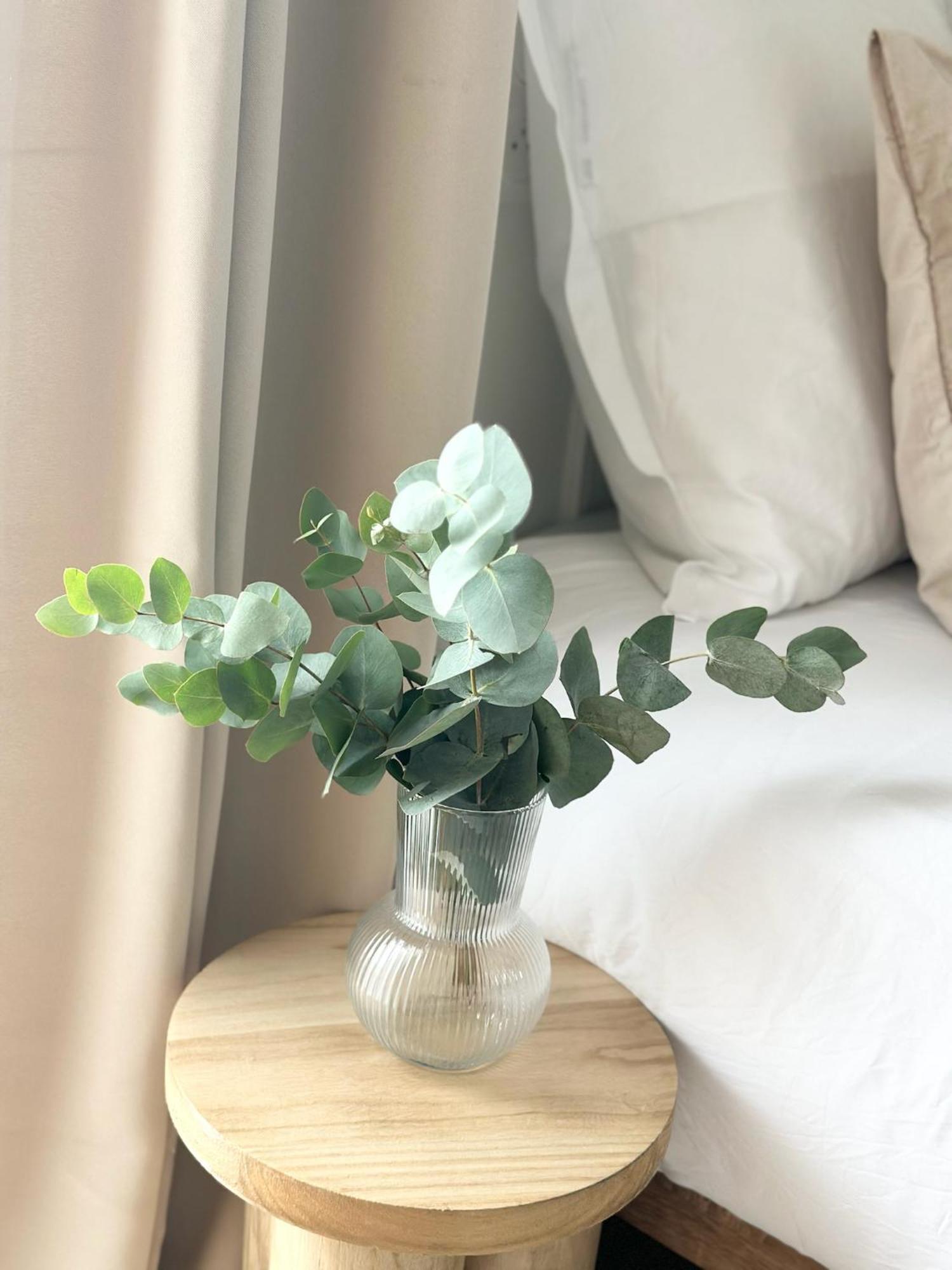 Jiji Suites Combs-la-Ville Extérieur photo